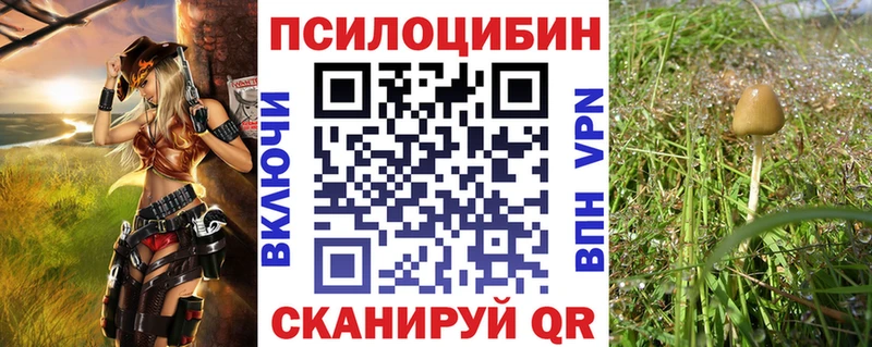 Купить где Геленджик Псилоцибиновые грибы ЛСД